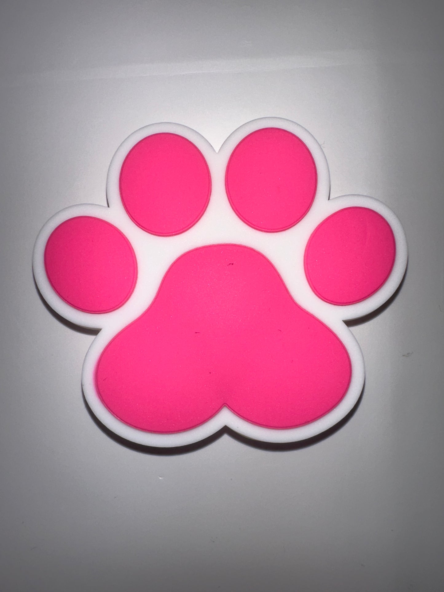 Paw print Tote Charm(6pc)